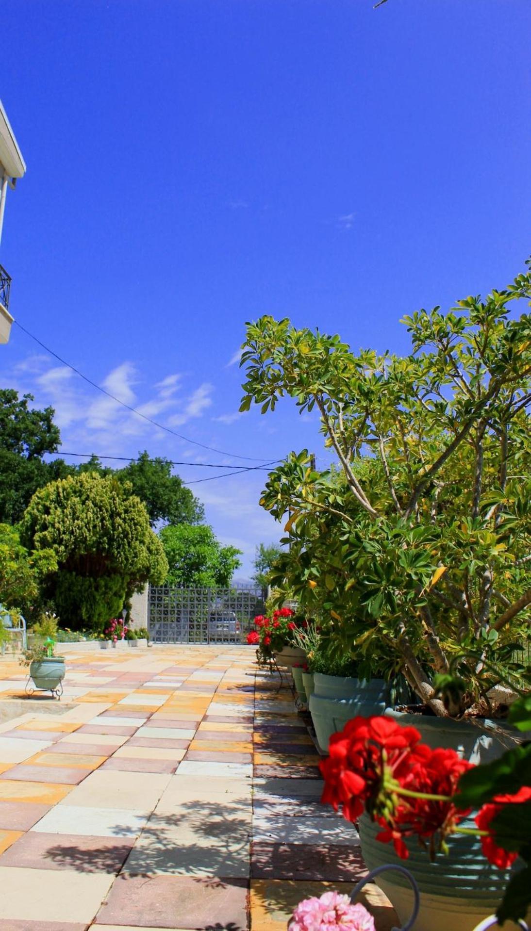 Olyna'S Apartment N.S Preveza Nea Sampsounta Buitenkant foto